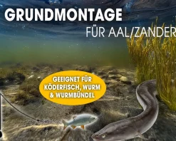 Angel Berger Aal - Zander Grundmontage Set Ready2Fish Angelset Stand Up Montage Wurm Köderfisch Stehaufbleimontage Angelsets