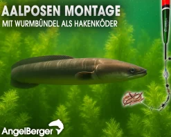 Angel Berger Aal Posen Set Posenmontage mit Knicklicht Ready2Fish Angelset Aal Angelsets