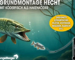 Angel Berger Steck Angelset Hecht Grundmontage Rute Rolle Angelzubehör Köderfischmontage Ready2Fish Angelset Fishing Set Pike Dead Bait Grundangel Angelset Köderfischangeln Angelsets