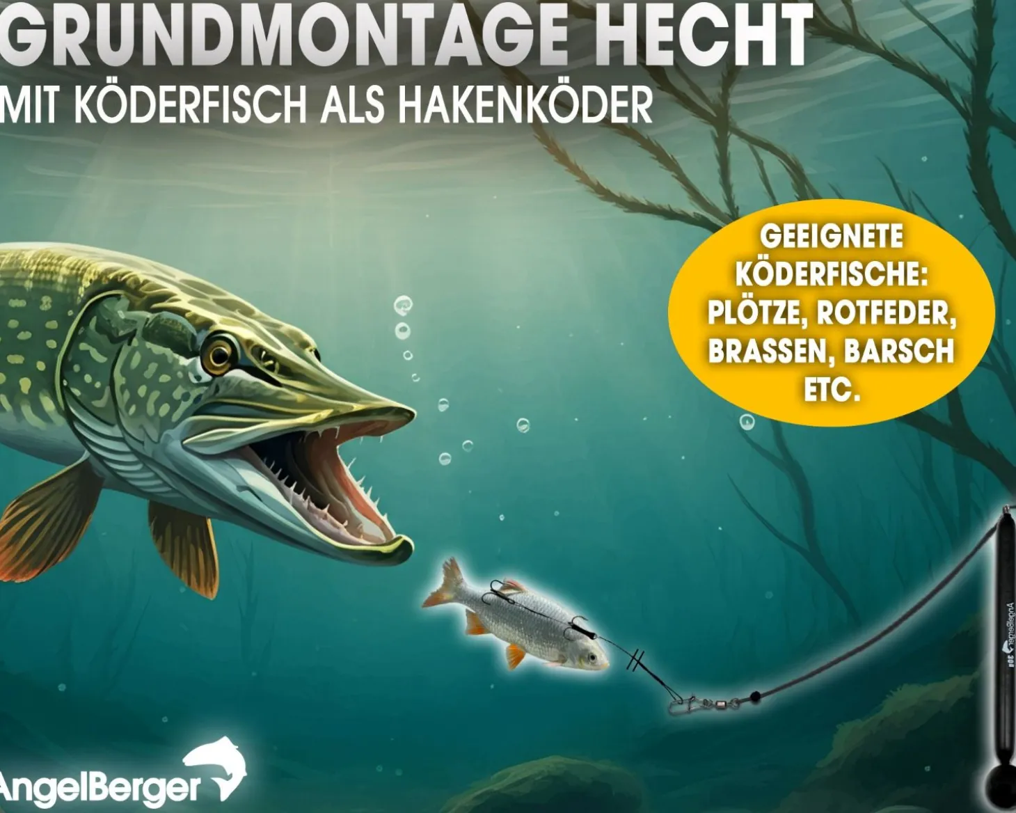 Angel Berger Steck Angelset Hecht Grundmontage Rute Rolle Angelzubehör Köderfischmontage Ready2Fish Angelset Fishing Set Pike Dead Bait Grundangel Angelset Köderfischangeln Angelsets
