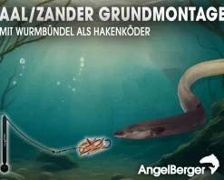 Angel Berger Steck Angelset Aal Zander Grundmontage Rute Rolle mit Angelzubehör Ready2Fish Angel Set Fishing Set Eel Pike Perch Wurm Dead Bait Grundangel Aalangeln Zanderangeln Angelsets