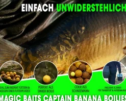 Magic Baits 4 Kg Premium Boilies mit Eimer Carp Baits with Bucket Futterboilies Karpfenboilies Feeder Boilie Boilieset Karpfenköder Carp Baits Angelköder Karpfenangeln Futtermittel