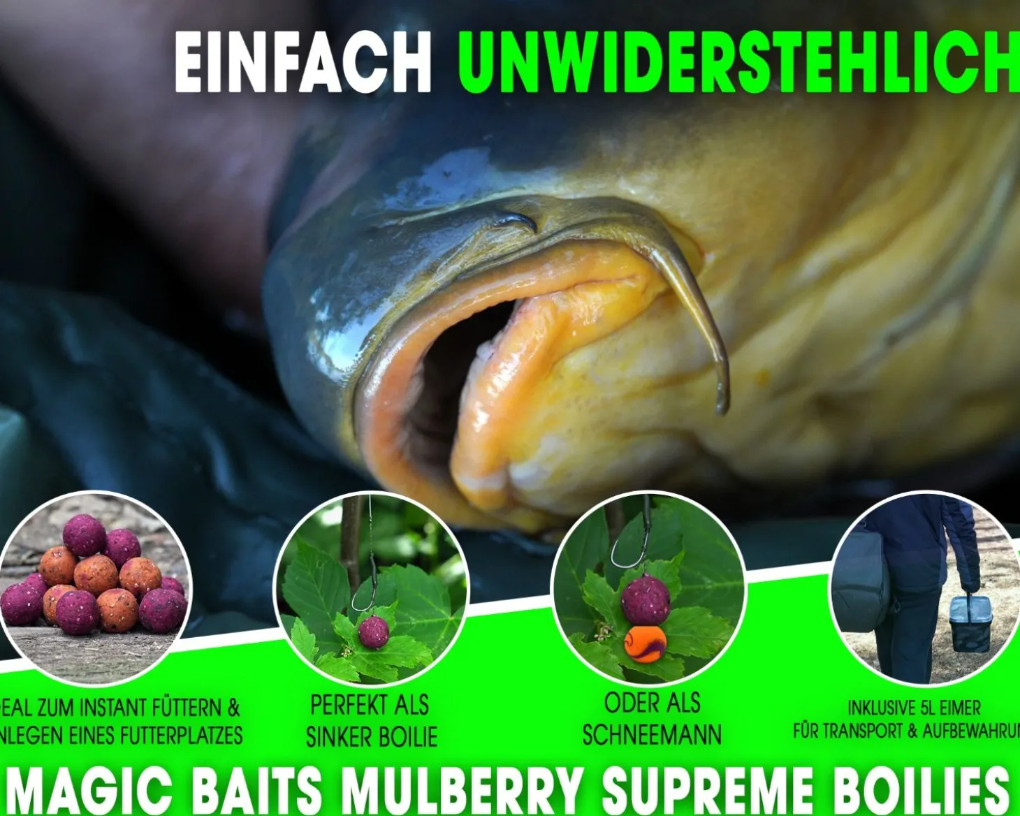 Magic Baits 4 Kg Premium Boilies mit Eimer Carp Baits with Bucket Futterboilies Karpfenboilies Feeder Boilie Boilieset Karpfenköder Carp Baits Angelköder Karpfenangeln Futtermittel
