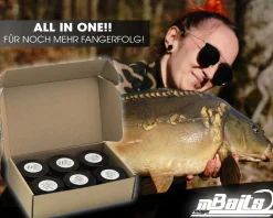 Magic Baits Bait Bundle Mini Boilies All in One Köderset Feederboilies Sparpack Miniboilies Futtermittel