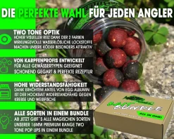 Magic Baits Bait Bundle Two Tone Hook Baits All in One Köderset Karpfen Hakenköder Sparpack Carp Hookbaits Half Half Boilie Vorteilspack  Futtermittel