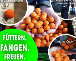 Magic Baits Boilies im Eimer 4 kg alle Sorten Futterboilies Karpfenboilies Boilieset Karpfenköder Futtermittel