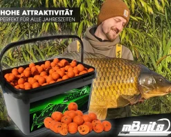Magic Baits Boilies im Eimer 4 kg alle Sorten Futterboilies Karpfenboilies Boilieset Karpfenköder Futtermittel