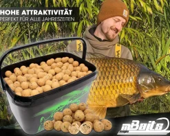 Magic Baits Boilies im Eimer 4 kg alle Sorten Futterboilies Karpfenboilies Boilieset Karpfenköder Futtermittel