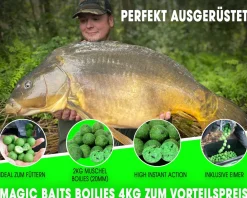 Magic Baits Boilies im Eimer 4 kg alle Sorten Futterboilies Karpfenboilies Boilieset Karpfenköder Futtermittel