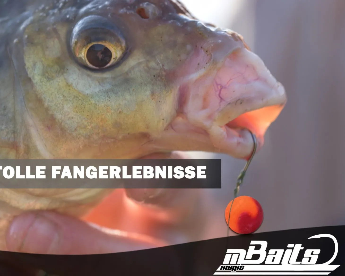 Magic Baits Feeder Boilie Set Method Feeder Boilie Mini Pop Ups Baitsmoke Futtermittel