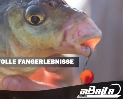 Magic Baits Feeder Boilie Set Method Feeder Boilie Mini Pop Ups Baitsmoke Futtermittel