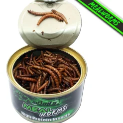 Magic Baits High Protein Insect canned insects konservierte Insekten Futtermittel
