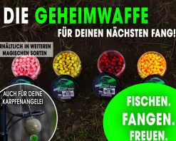Magic Baits Mini Two Tone Pop Ups Method Feeder Boilies Premium Range -Natural Squid & Liver Futtermittel