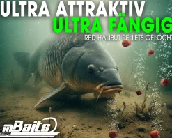 Magic Baits Red Halibut Pellets gelocht Futterpellets Carp Pellet Karpfenköder AngelköderKarpfenfutter zum Karpfenangeln Futtermittel