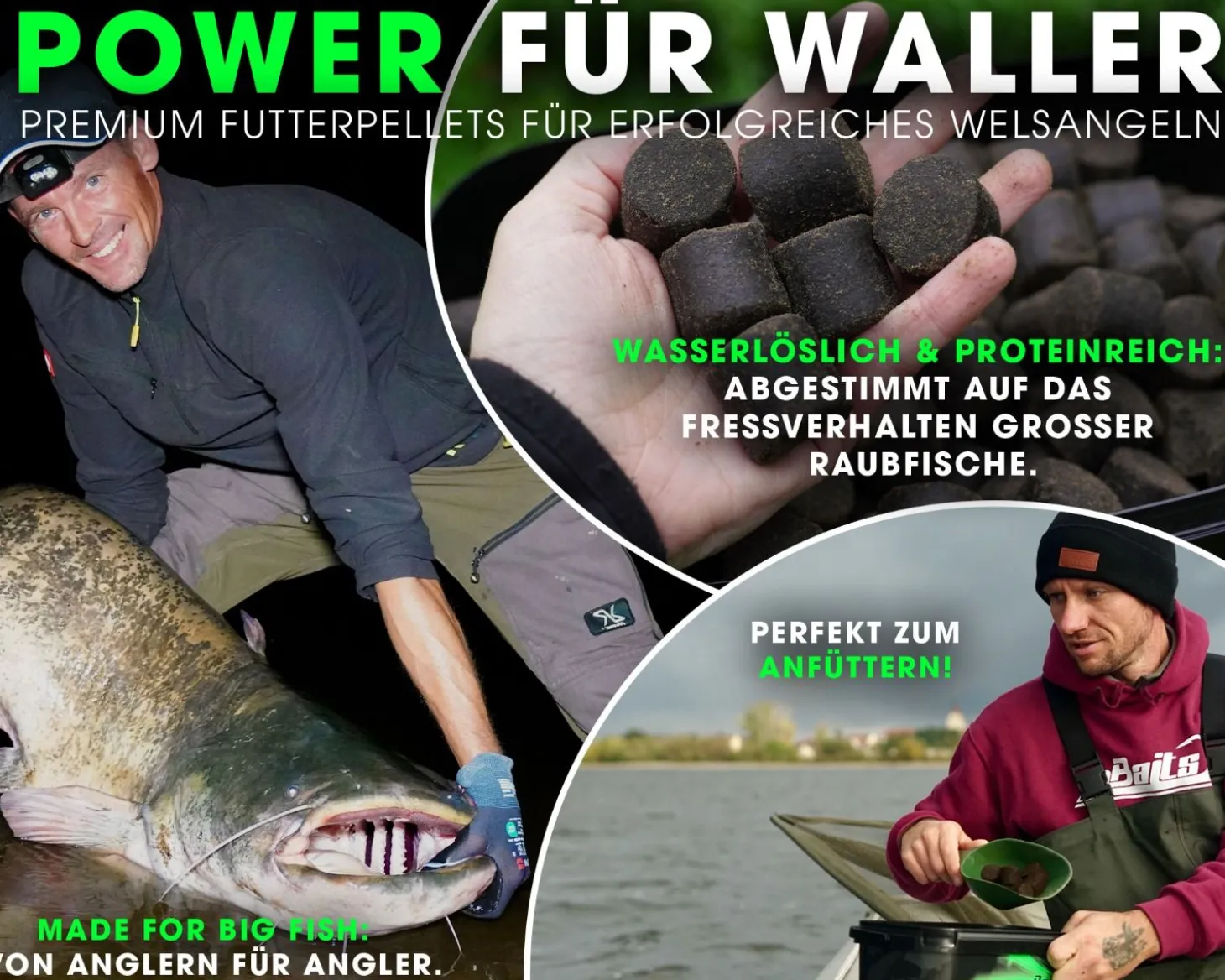 Magic Baits Wels Pellets Giant Pellet Wallerpellets Futtermittel