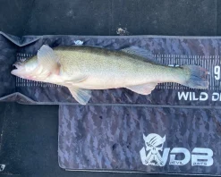 Wild Devil Baits Camo Measure Mat 130cm Abhakmatte mit Maßband Predatory Fish  Abhakmatten & Wiegesäcke