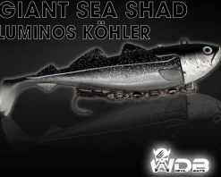 Wild Devil Baits Giant Sea Shad Dorsch Heilbutt Seelachs Köder Meeresangeln Angelköder