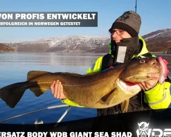 Wild Devil Baits Giant Sea Ersatz Body Shad Dorsch Heilbutt Seelachs Angelköder