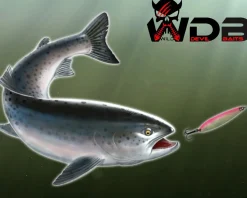 Wild Devil Baits Meerforellenblinker in Box Meerforellenköder Seatrout Lures Spoons Sortimente