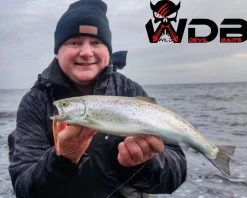 Wild Devil Baits Meerforellenblinker in Box Meerforellenköder Seatrout Lures Spoons Sortimente