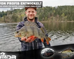 Wild Devil Baits Multi Tail Spin Jig Bleikopfspinner Jig Spinner Kunstköder Wechselblätter Spinner