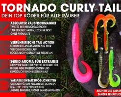 Wild Devil Baits Ready2Fish Tornado Curly Tail mit Box Twister Gummifisch Set mit Jighaken fertig zum Angeln Angelköder