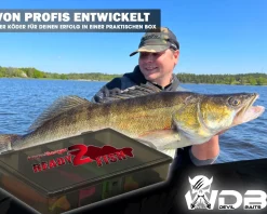 Wild Devil Baits Ready2Fish Shockwave Shad mit Box Gummifisch Set mit Jighaken Kunstköder Gummiköder Angelset Angelköder