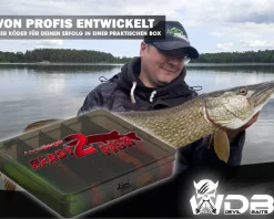 Wild Devil Baits Ready2Fish Shockwave Shad mit Box Gummifisch Set mit Jighaken Kunstköder Gummiköder Angelset Angelköder
