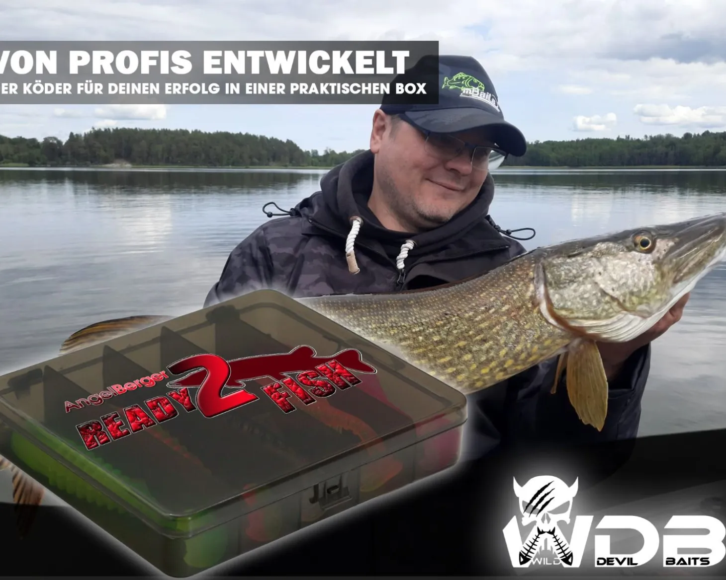 Wild Devil Baits Ready2Fish Shockwave Shad mit Box Gummifisch Set mit Jighaken Kunstköder Gummiköder Angelset Angelköder
