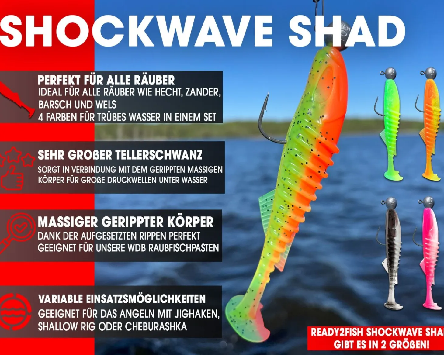 Wild Devil Baits Ready2Fish Shockwave Shad mit Box Gummifisch Set mit Jighaken Kunstköder Gummiköder Angelset Angelköder