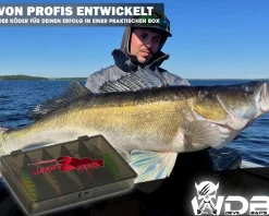 Wild Devil Baits Ready2Fish Wobbler Set Deep Shad in Box Wobbler Hardbaits für Hecht Zander Barsch Angelköder