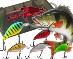 Wild Devil Baits Ready2Fish Wobbler Set Fat Crank in Box Wobbler Hardbaits für Hecht Zander Barsch  Angelköder