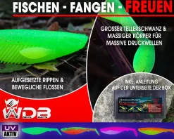 Wild Devil Baits Ready2Fish Action Shad mit Box Gummifisch Set mit Jighaken fertig zum Angeln Angelköder