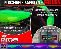 Wild Devil Baits Ready2Fish Action Shad mit Box Gummifisch Set mit Jighaken fertig zum Angeln Angelköder