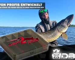 Wild Devil Baits Ready2Fish Action Shad mit Box Gummifisch Set mit Jighaken fertig zum Angeln Angelköder