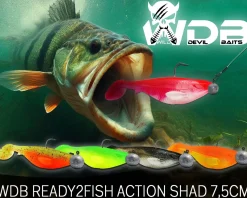 Wild Devil Baits Ready2Fish Action Shad mit Box Gummifisch Set mit Jighaken fertig zum Angeln Angelköder