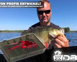Wild Devil Baits Ready2Fish Action Shad mit Box Gummifisch Set mit Jighaken fertig zum Angeln Angelköder
