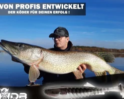 Wild Devil Baits Shockwave Shad Baby Zander Gummifisch Kunstköder Softlure Gummiköder Hecht Barsch Zander Angelköder Raubfischköder Angelköder