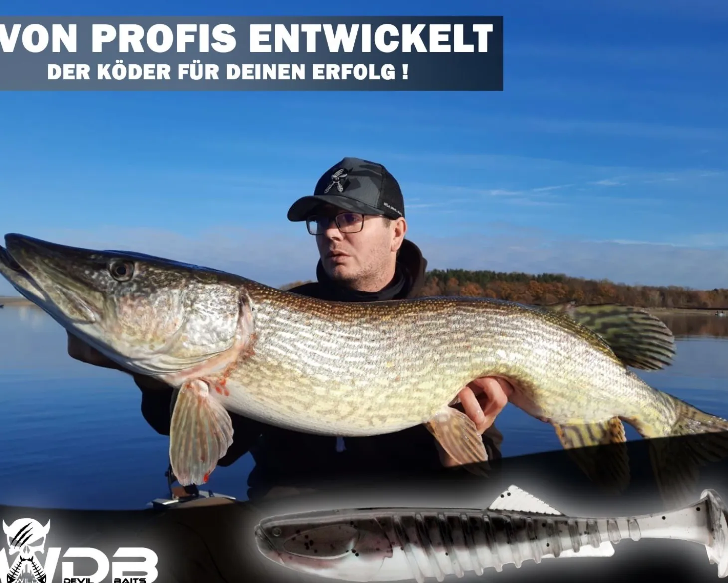Wild Devil Baits Shockwave Shad 20cm Gummifisch Kunstköder Softlure Gummiköder Hecht Wels Dorsch Heilbutt Meeresköder Raubfischköder Angelköder