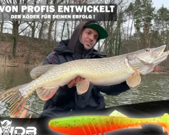 Wild Devil Baits Shockwave Shad 20cm Gummifisch Kunstköder Softlure Gummiköder Hecht Wels Dorsch Heilbutt Meeresköder Raubfischköder Angelköder
