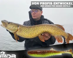 Wild Devil Baits Shockwave Shad 20cm Gummifisch Kunstköder Softlure Gummiköder Hecht Wels Dorsch Heilbutt Meeresköder Raubfischköder Angelköder