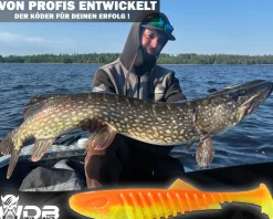 Wild Devil Baits Shockwave Shad 20cm Gummifisch Kunstköder Softlure Gummiköder Hecht Wels Dorsch Heilbutt Meeresköder Raubfischköder Angelköder