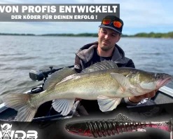 Wild Devil Baits Shockwave Shad Dark Devil Gummifisch Kunstköder Softlure Gummiköder Hecht Barsch Zander Angelköder Raubfischköder Angelköder