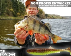 Wild Devil Baits Shockwave Shad UV Green Pumpkin Chartreuse Gummifisch Kunstköder Softlure Gummiköder Hecht Barsch Zander Angelköder Raubfischköder Angelköder