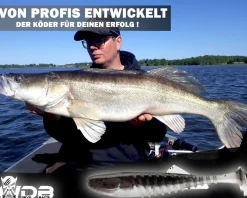 Wild Devil Baits Shockwave Shad Gummifisch Kunstköder Softlure Gummiköder Hecht Barsch Zander Angelköder Raubfischköder Angelköder