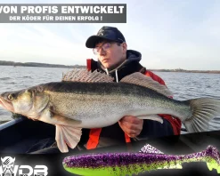 Wild Devil Baits Shockwave Shad Gummifisch Kunstköder Softlure Gummiköder Hecht Barsch Zander Angelköder Raubfischköder Angelköder