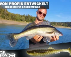 Wild Devil Baits Shockwave Shad Gummifisch Kunstköder Softlure Gummiköder Hecht Barsch Zander Angelköder Raubfischköder Angelköder