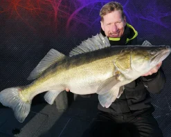 Wild Devil Baits Smart Shad Green Flash Pro Guiding Gummifisch  Angelköder