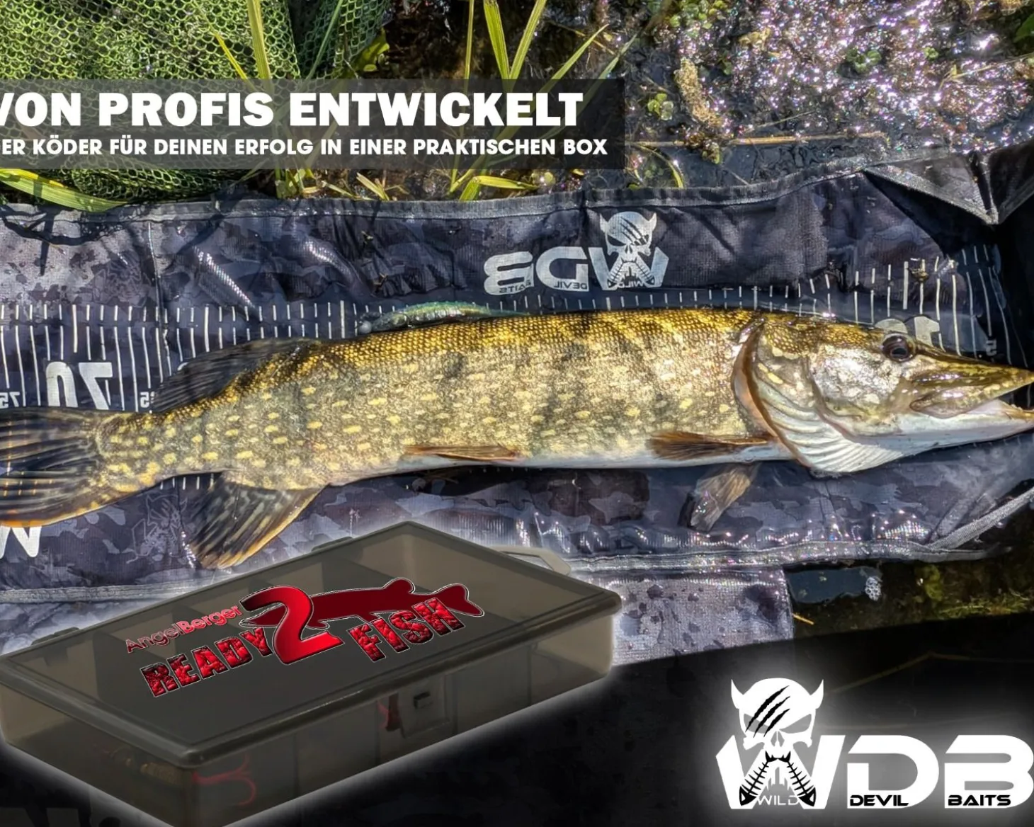Wild Devil Baits Spinner Sortiment Hecht in Box Pike Spinnköder Kunstköder Set Angelköder Spoon Sortimente