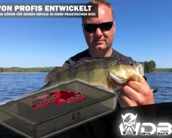 Wild Devil Baits Spinner Sortiment Barsch in Box Perch Spinnköder Kunstköder Set Angelköder Spoon Sortimente